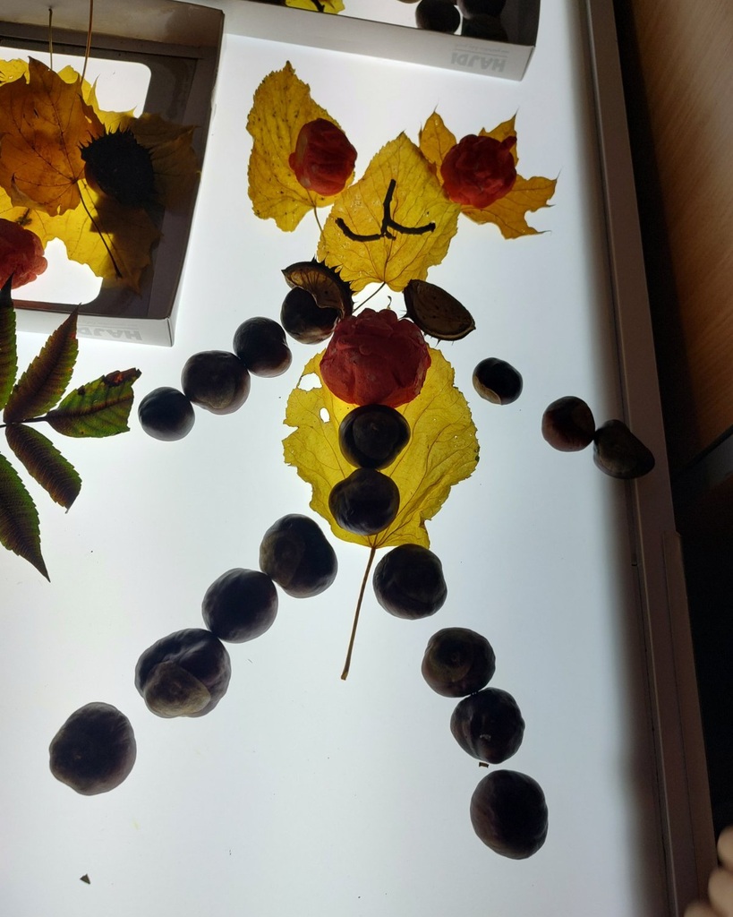 IMG 7aff54ee06916e36aab35f8c6304256d V