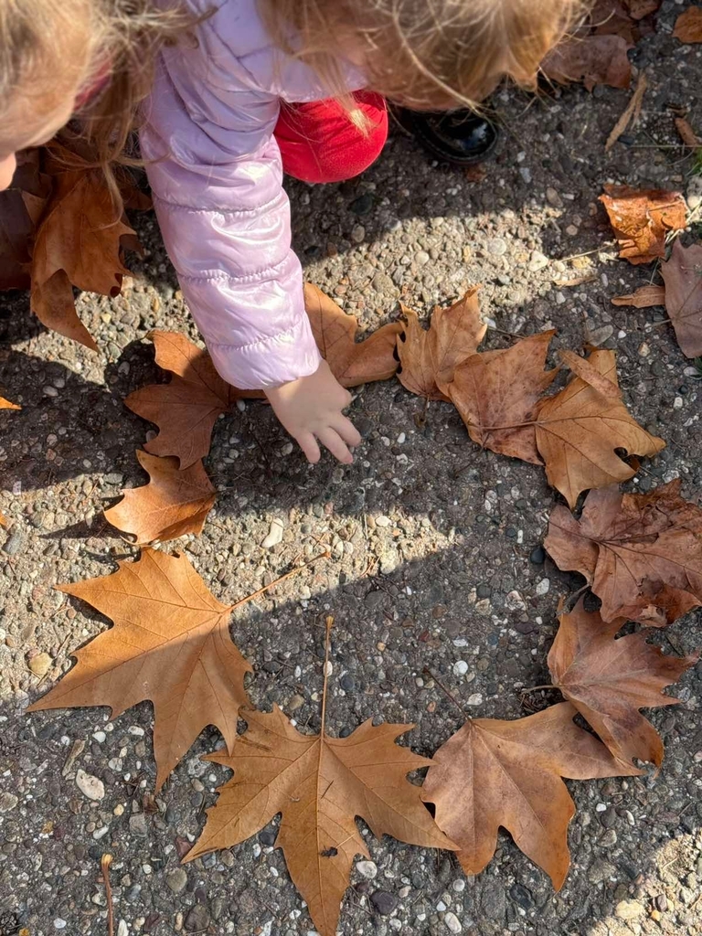 JPEG 20251011 001245 3271038289710030914