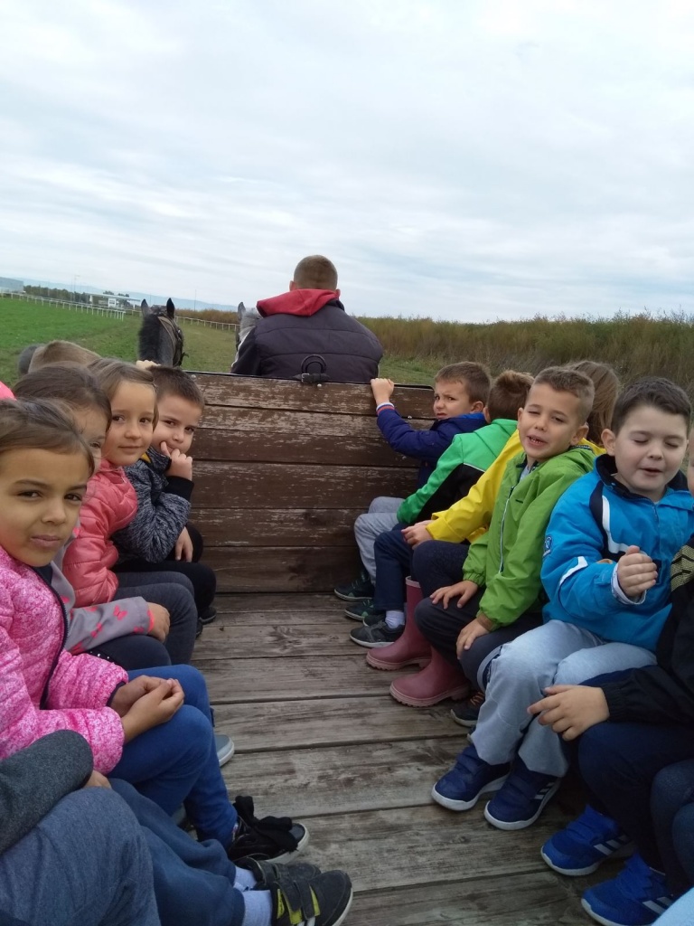 IMG 04ede7ac2c800ee759c0c5288c19f41b V