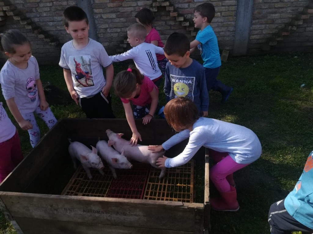 62109337 2313525992039438 3010343788947177472 n